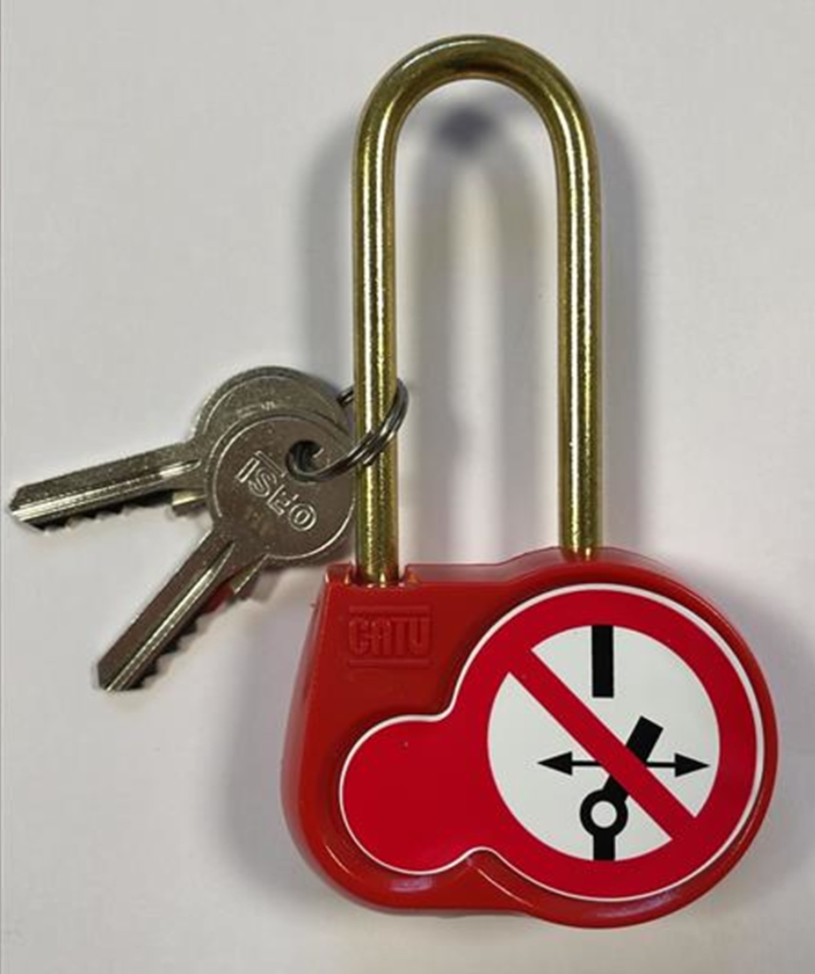 OCMEI SRL - OCMAL-240-S-00-EX LUCC. OTTONE  ARCO METALLICO D=70MM