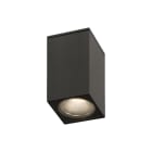 ROSSINI - RSSARG10127NTI DOWNLIGHT A PLAFONE QUADRATO TITANIO CON