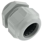 ILME - ILMAS M25I PRESSACAVO ISOL. M25