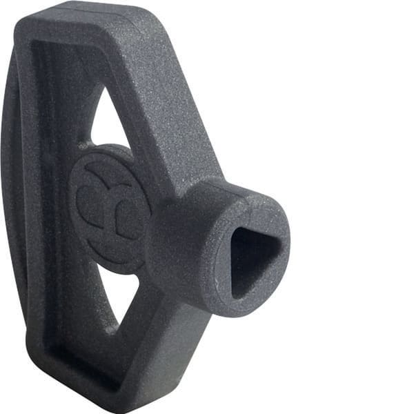 BOCCHIOTTI SPA - IBOB04665 CH TRI VTR   CHIAVE TRIANGOLARE