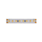 BRILUX GMBH SRL - BRIB12-HE2224930 FLEX LED BRILUX HIGH EFFICENT IP20 22W 1