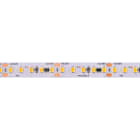 BRILUX SRL - BR1B14-LL1448830 FLEX LED LONG LINE IP20 14,4W 130LED/M R