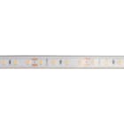 BRILUX SRL - BR1B17-CSWW8027 FLEX LED IP65 4,8W/M 80LED/M RA>80 2700