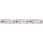 BRILUX GMBH SRL - BRIB18-HL1948830 FLEX LED HIGH LUMEN IP20 19,2W 140LED/M
