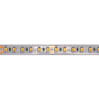 BRILUX SRL - BR1B19-ST1124830P5 FLEX LED BRILUX IP64 11W 120LED/M RA<85
