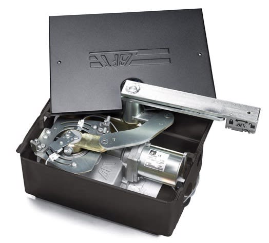 BFT - BFTP930125 00001 ELI 250 N BT 24V