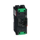 SCHNEIDER ELECTRIC - SNRBGL26030LU INTERR.AUTOM.PPB 2P 30A 35KA EVERL