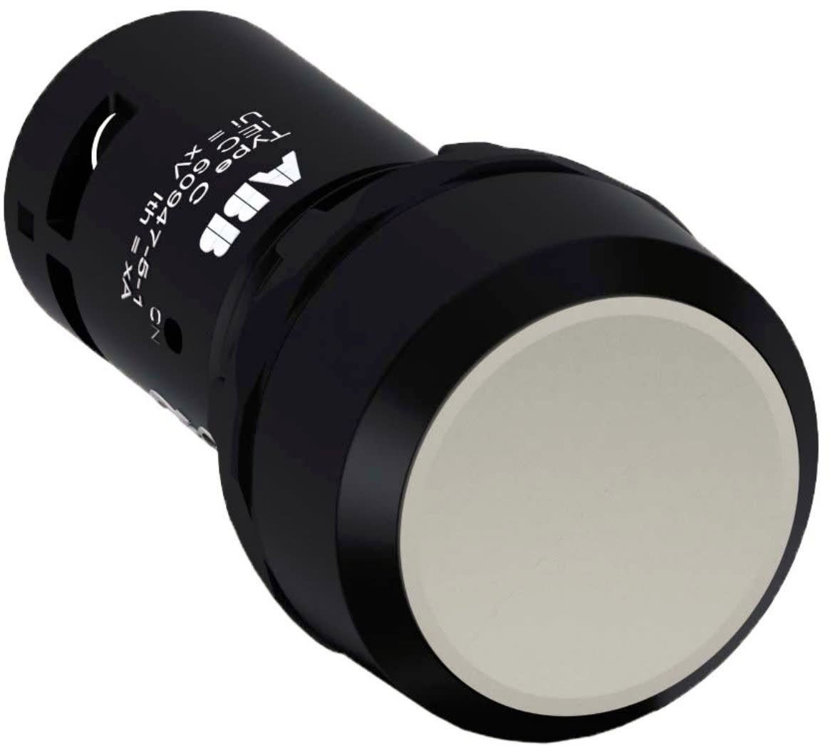 ABB SPA - ABBER 006 7 CP1-10U-10 PUL.INS.GRIGIO G.PLA.NERA 1NA