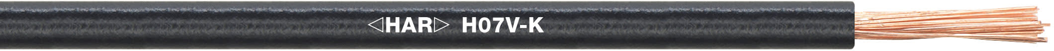 LAPP ITALIA SRL - LPP4521041 H07V-K 1X25 RD