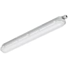 SIGNIFY ITALY SPA - PHA91685800 CoreLine Stagna, 21.5 W, L1200 mm, 2700 lm, 4000 K, Fascio largo, Smerigliata, IP65, IK08, TW3