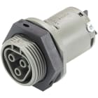 WIELAND ELECTRIC SRL - WIE96.031.5054.3 FEMMINA INCASSO RST25I3S B1 M01V BG03