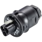 WIELAND ELECTRIC SRL - WIE96.032.6153.1 ADAPTER MALE RST20I3S S1 M00V GL