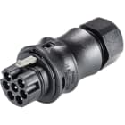 WIELAND ELECTRIC SRL - WIE96.072.4153.1 CONNETTORE SPINA RST20I7S S1 ZR2 SW
