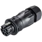 WIELAND ELECTRIC SRL - WIE96.072.4553.1 CONNETTORE SPINA RST20I7S S1 ZR3 SW