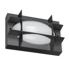 PERFORMANCE IN LIGHT - PRI3113251 BLIZ OVAL 21 S/EW 830 AN96