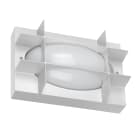 PERFORMANCE IN LIGHT - PRI3113248 BLIZ OVAL 21 S/EW 840 WH87