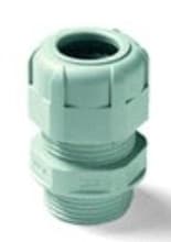 BM SPA - BMM4029 PRESS NYLON IP68 PG29 RAL7035