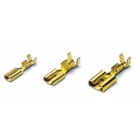 BM SPA - BMM01191 TERM OTT FEM 6,3X0,8 ST