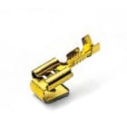 BM SPA - BMM02198 TERM OT M+F 1 6,3X08 BOB