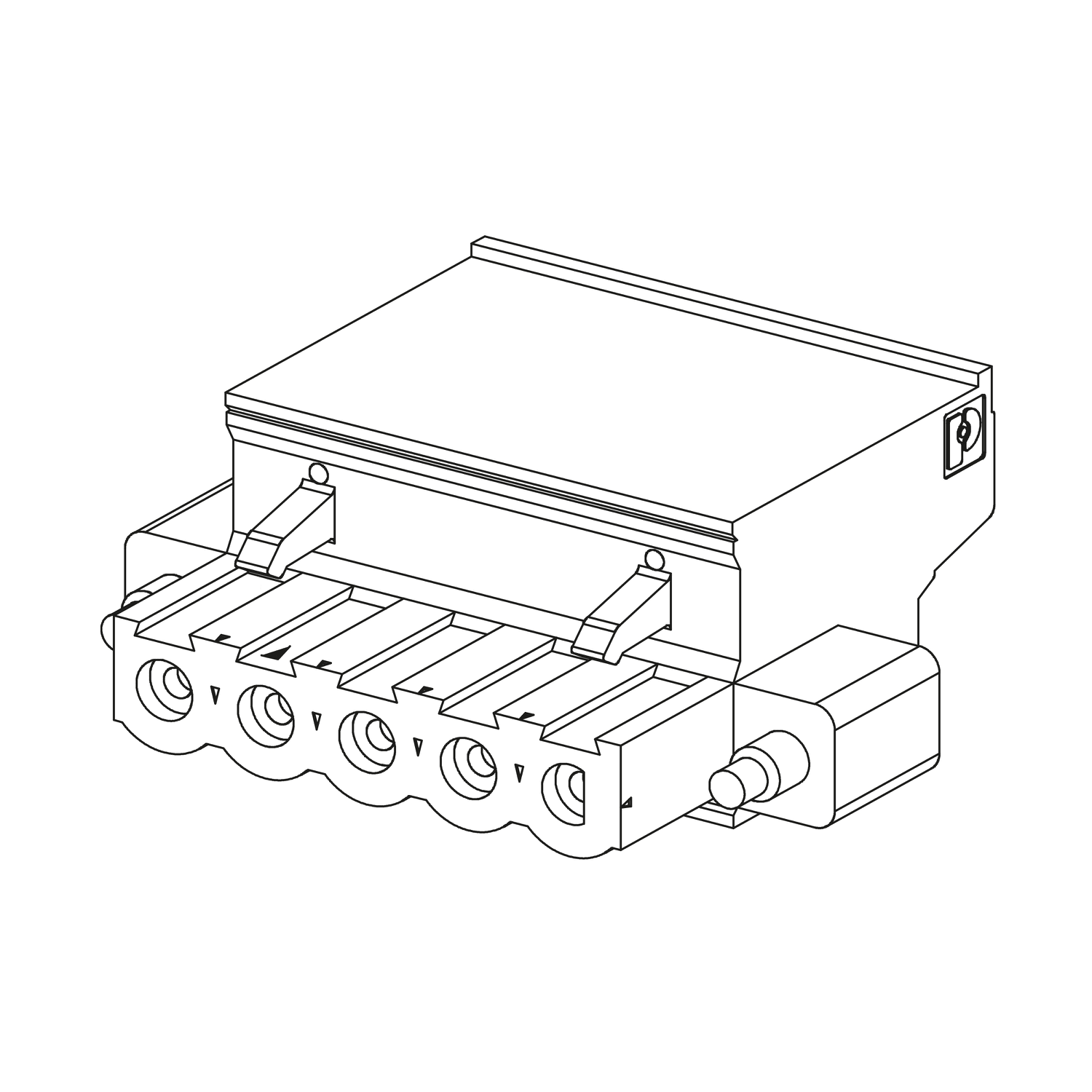 SCHNEIDER ELECTRIC - SNRBMXXTSCPS20 Kit con 2 connettori rimovibili - A molla - Per modulo alim. M340