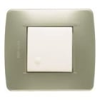 BTICINO - BTIC4802VM LUNA - PLACCA 2P VERDE METALLIZZATO