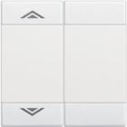 BTICINO - BTIN4911M2AHN MyHOME-Wippe mit Symbol 'Auf/Ab' fur LIV