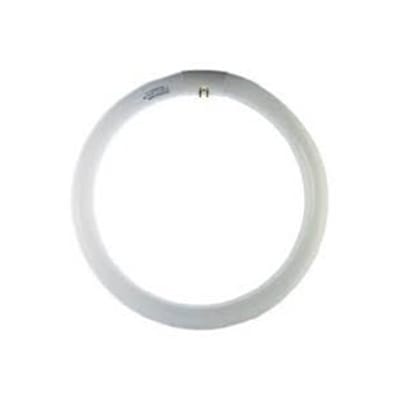 BOT LIGHTING SRL - BTLLR401T LR-T9 40W 6500K - 865 -CIRCOLARE G10Q