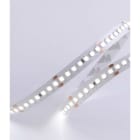 DIGIMAX SRL - DIXC8176740 STRIP 17.3W 24V 200LED 4000K CRI90 IP67