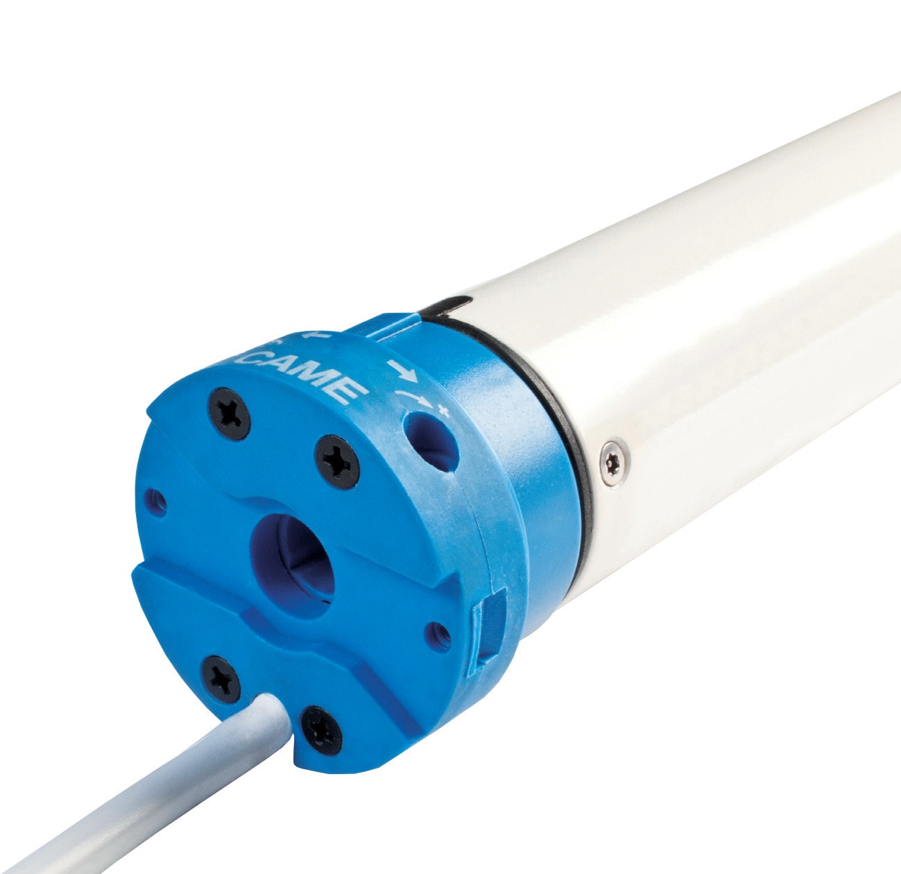 CAME SPA - CMC001Y5050A121MO MONDRIAN 5 50N 12RPM