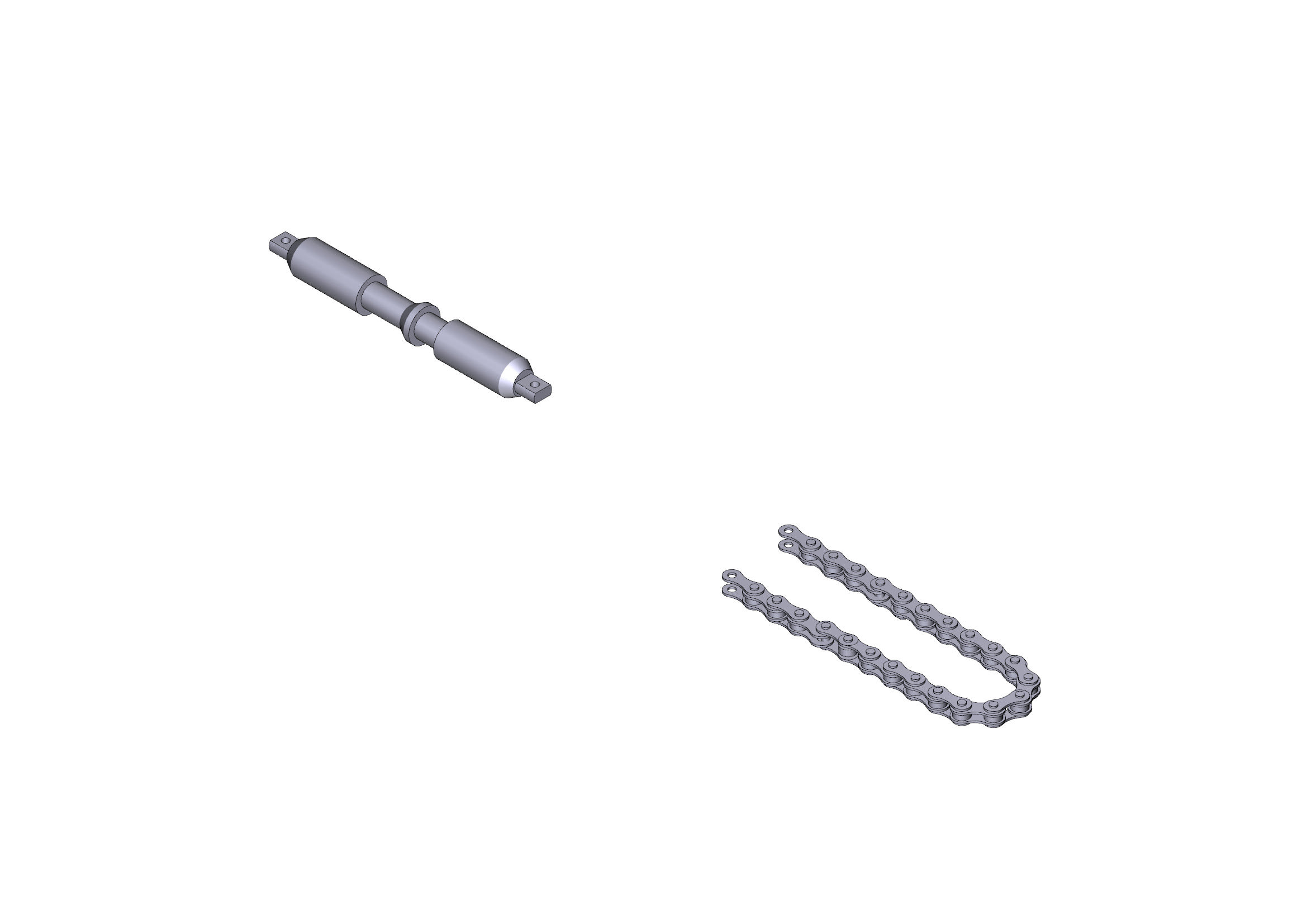 CAME SPA - CMC119RIE118 CATENA TRASMISSIONE - V0683 L=7,7M