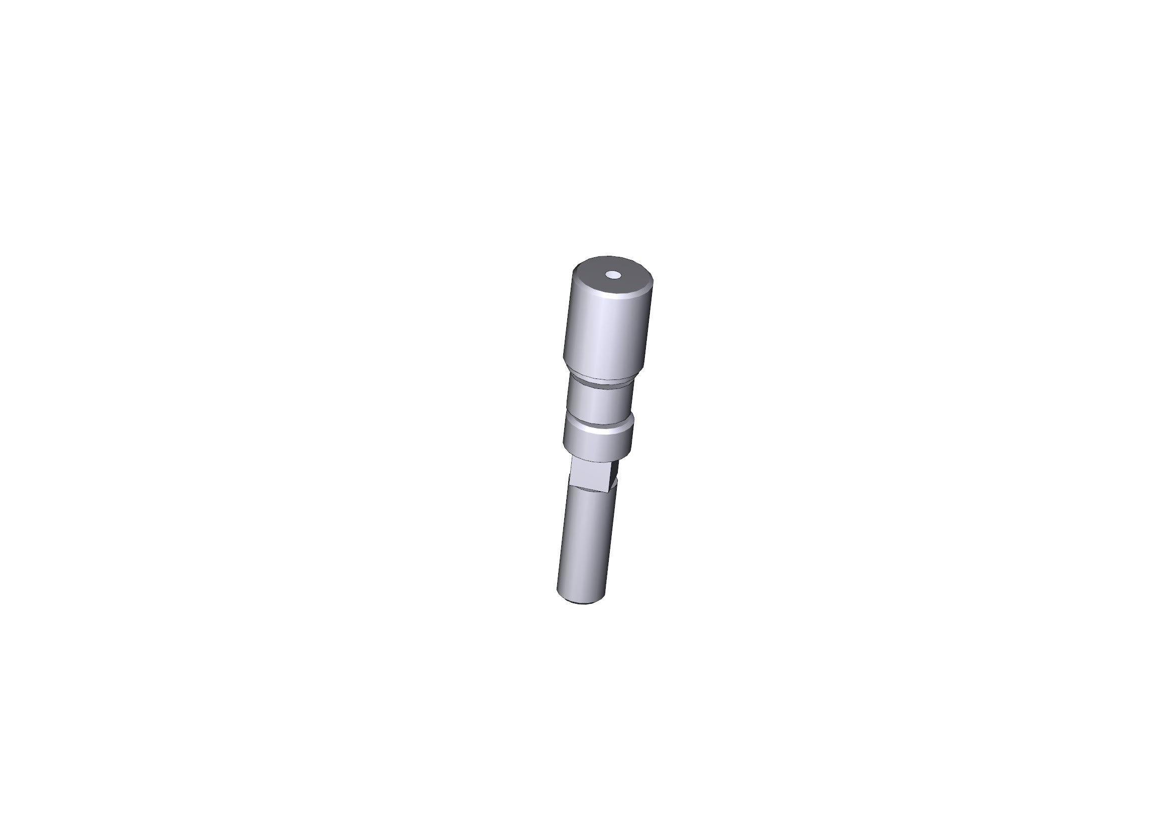 CAME SPA - CMC119RIG077 PERNO FERMO MECCANICO GARD 2,5-5-6-6,5M
