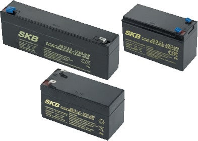CAME SRL - CMC846XG-0040 BB180 ACCUMULATORE SIGILLATO