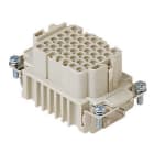 ILME - ILMCDDF 42 FRUTTO PRESA 42 POLI