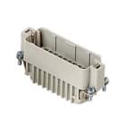 ILME - ILMCDDM 38 FRUTTO SPINA 38 POLI