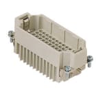 ILME - ILMCDDM 72 FRUTTO SPINA 72 POLI