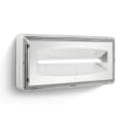 LINERGY SRL - LENCE1611 CRISTAL EVO 770LM 1H SA IP65 DALI