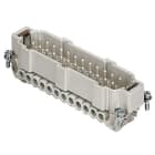 ILME - ILMCNEM 24 TXN F.SPINA 24P N17/32 S.P.TE