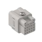 ILME - ILMCQF 21 FRUTTO PRESA 21P 5A CRIMP