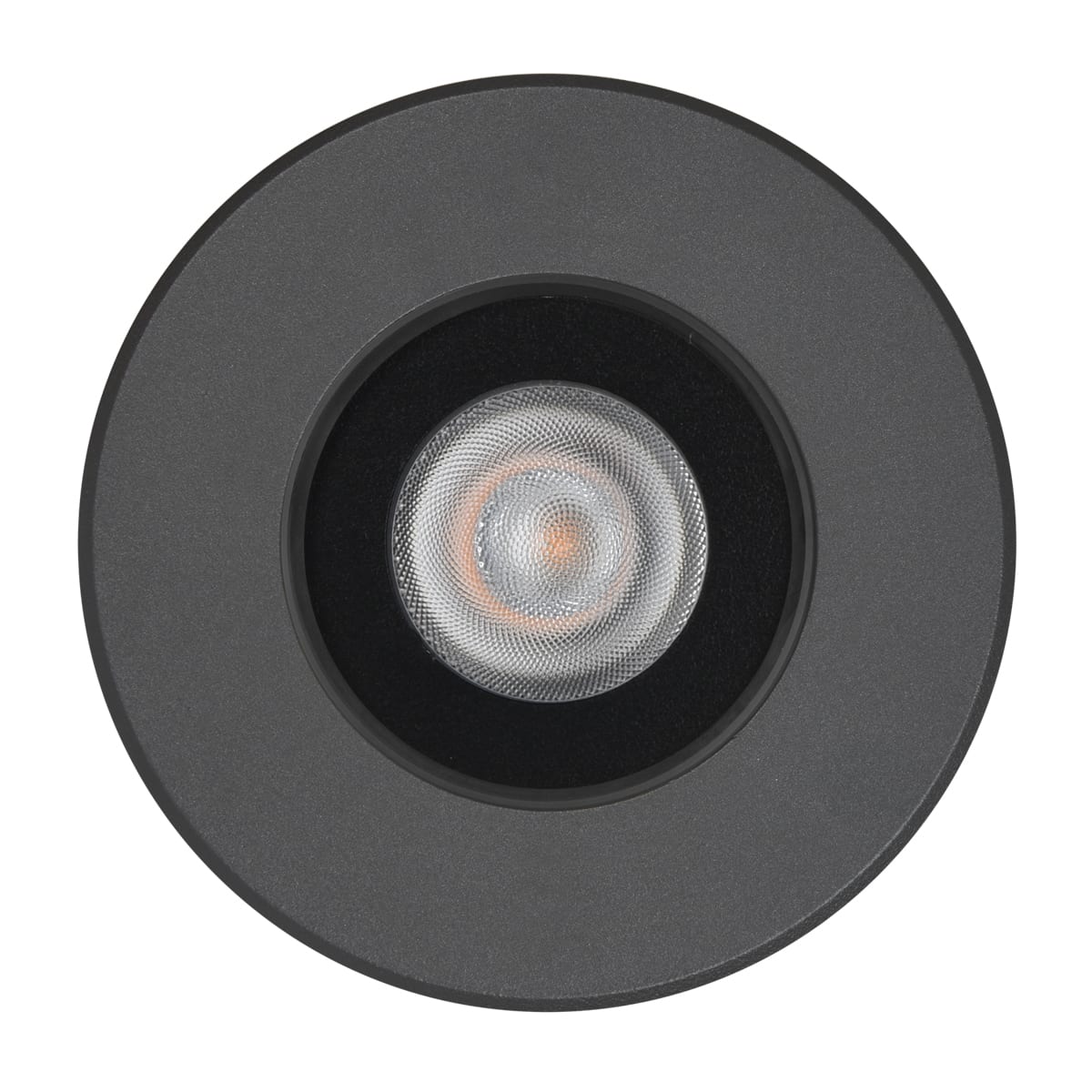 PERFORMANCE IN LIGHT - PRI3112274 CRICKET+ 10 C/M 6,5 RGBW AN96 DMX