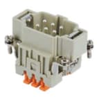 ILME - ILMCSHM 06 FR.SPINA 06 POLI SQUICH