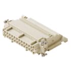 ILME - ILMCTF 24 L FRUTTO PR.CONN.MORS.24P.S