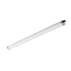 SIGNIFY ITALY SPA - PHA94738299 CoreLine tubolare impermeabile, 54 W, L1500 mm, 7000 lm, 4000 K, Fascio extra largo, Opale, IP68, IK10, TW1