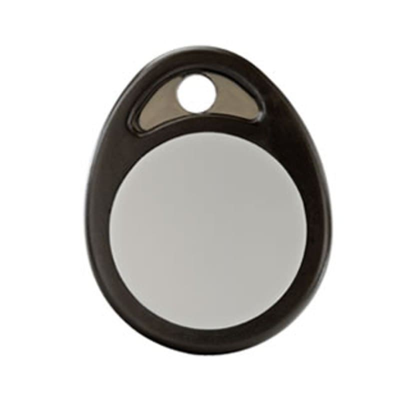 DELTA DORE SRL - DDR6413224 TYXAL BRFID BADGE RFID