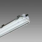 DISANO - DIS16243908 FORMA 994 FL 2X36 CEL RAL9006