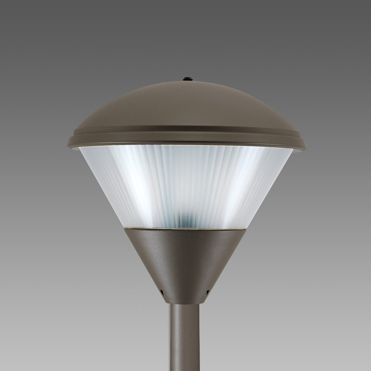 DISANO - DIS42212800 POLAR 1502 MAX 160 S GRAFITE