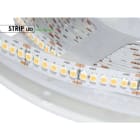 DESIGN LUCE - DLU98HO153920 LED HO 14,4W 24V NW 180 LED IP20 5M
