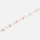 DIGIMAX SRL - DIXCP2067RGB40 STRIP 19.2W 24V COF RGB+4000K IP67