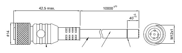 DATASENSING SRL - DTG95ASE1190 CS-A1-03-U-10 5 POLI DRITTO 10M UL 2464