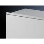 RITTAL SPA - RIT2424100 SZ LISTELLO ANTIPOLVERE L 600 MM