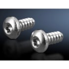 RITTAL SPA - RIT2486600 VITI TESTA BOMBATA CILINDR 5,5X13 300 PZ